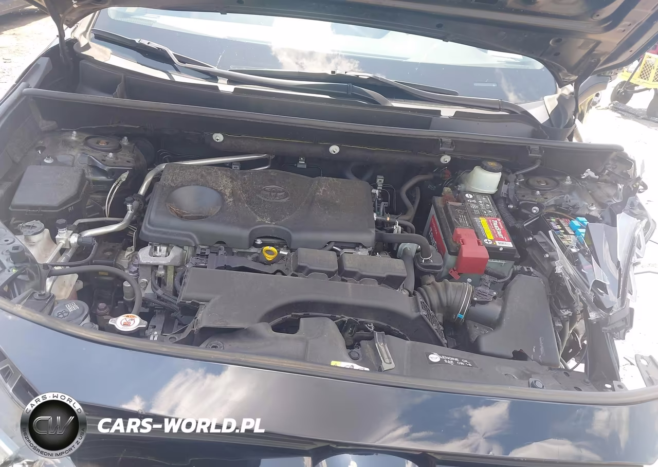 2019 Toyota Rav4 Xle Premium VIN:JTMC1RFV8KD509427 - 10