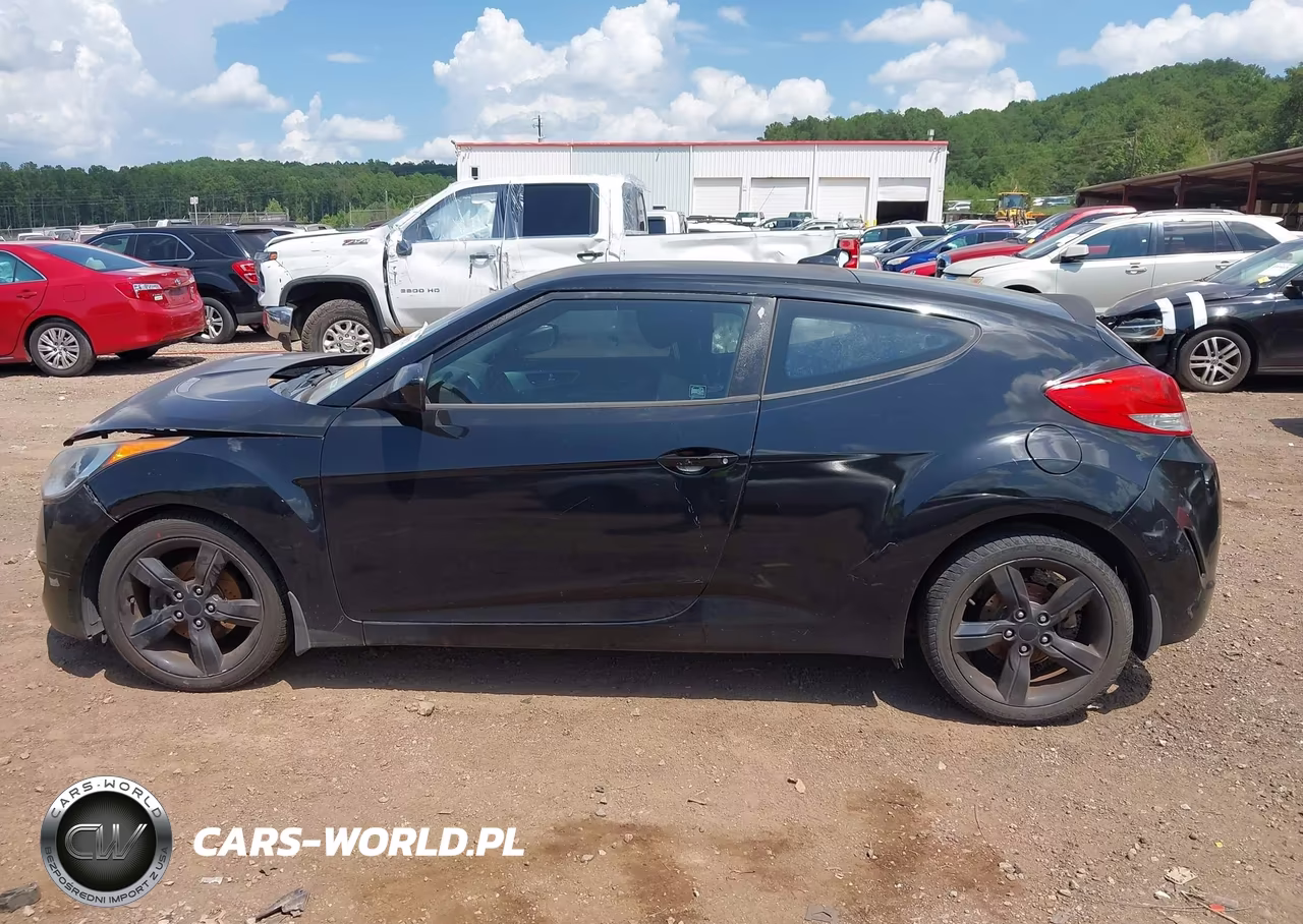 2013 Hyundai Veloster Base W-Black VIN:KMHTC6AD0DU174816 - 15