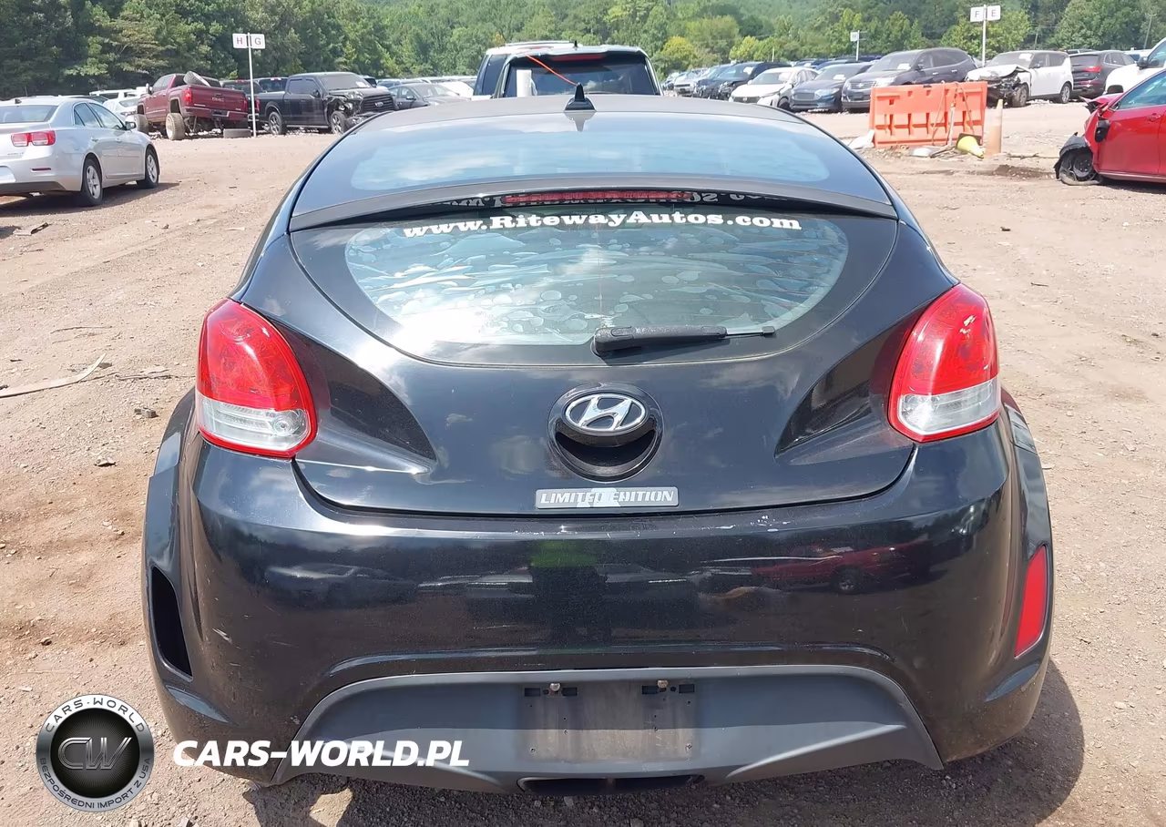 2013 Hyundai Veloster Base W-Black VIN:KMHTC6AD0DU174816 - 17