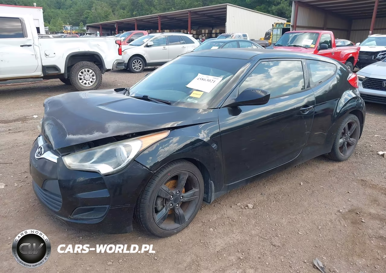 2013 Hyundai Veloster Base W-Black VIN:KMHTC6AD0DU174816 - 2