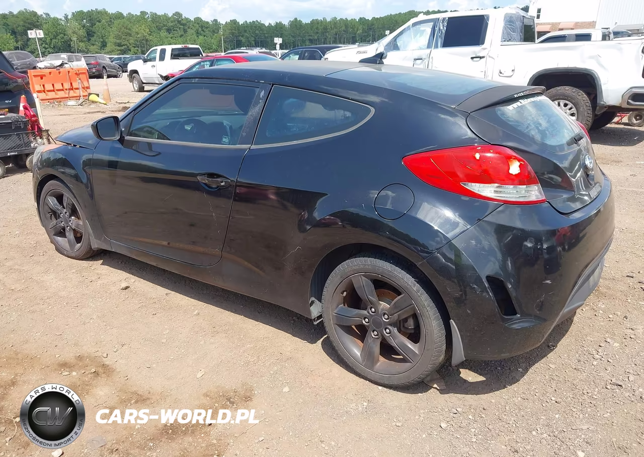 2013 Hyundai Veloster Base W-Black VIN:KMHTC6AD0DU174816 - 3