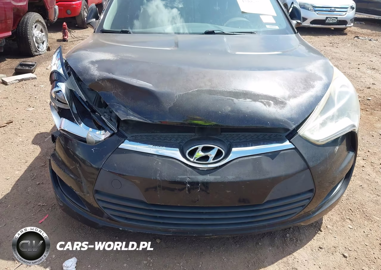 2013 Hyundai Veloster Base W-Black VIN:KMHTC6AD0DU174816 - 6