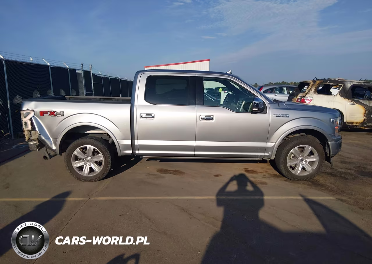 2020 Ford F-150 Platinum VIN:1FTEW1E4XLFB97671 - 13