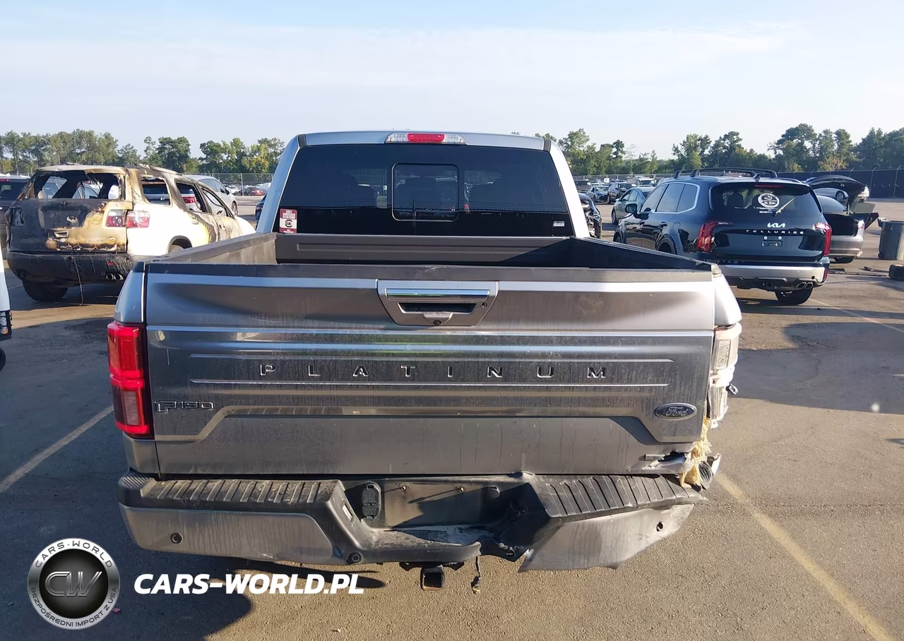 2020 Ford F-150 Platinum VIN:1FTEW1E4XLFB97671 - 16