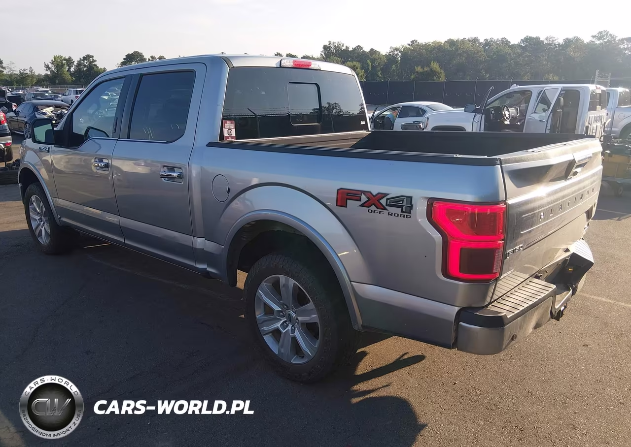 2020 Ford F-150 Platinum VIN:1FTEW1E4XLFB97671 - 3
