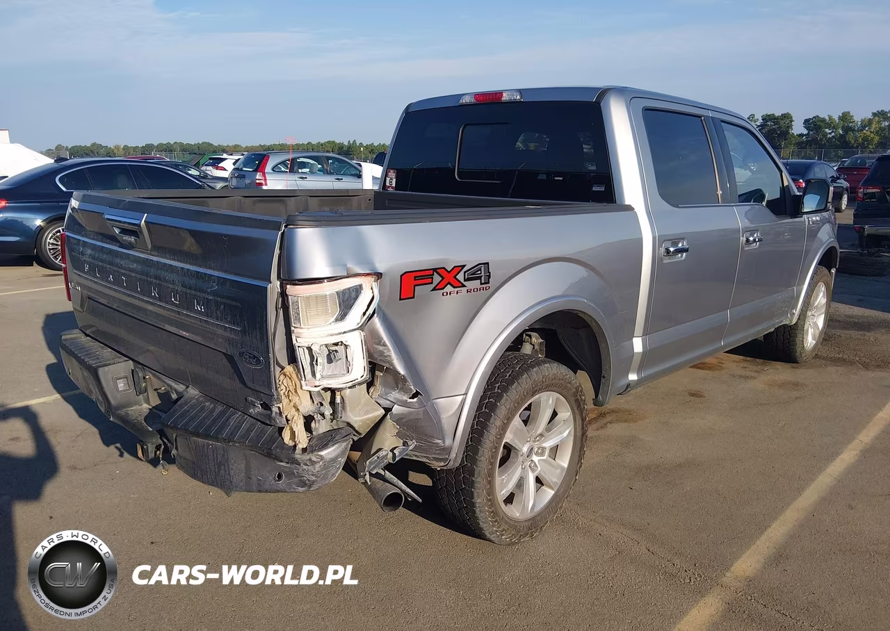 2020 Ford F-150 Platinum VIN:1FTEW1E4XLFB97671 - 4