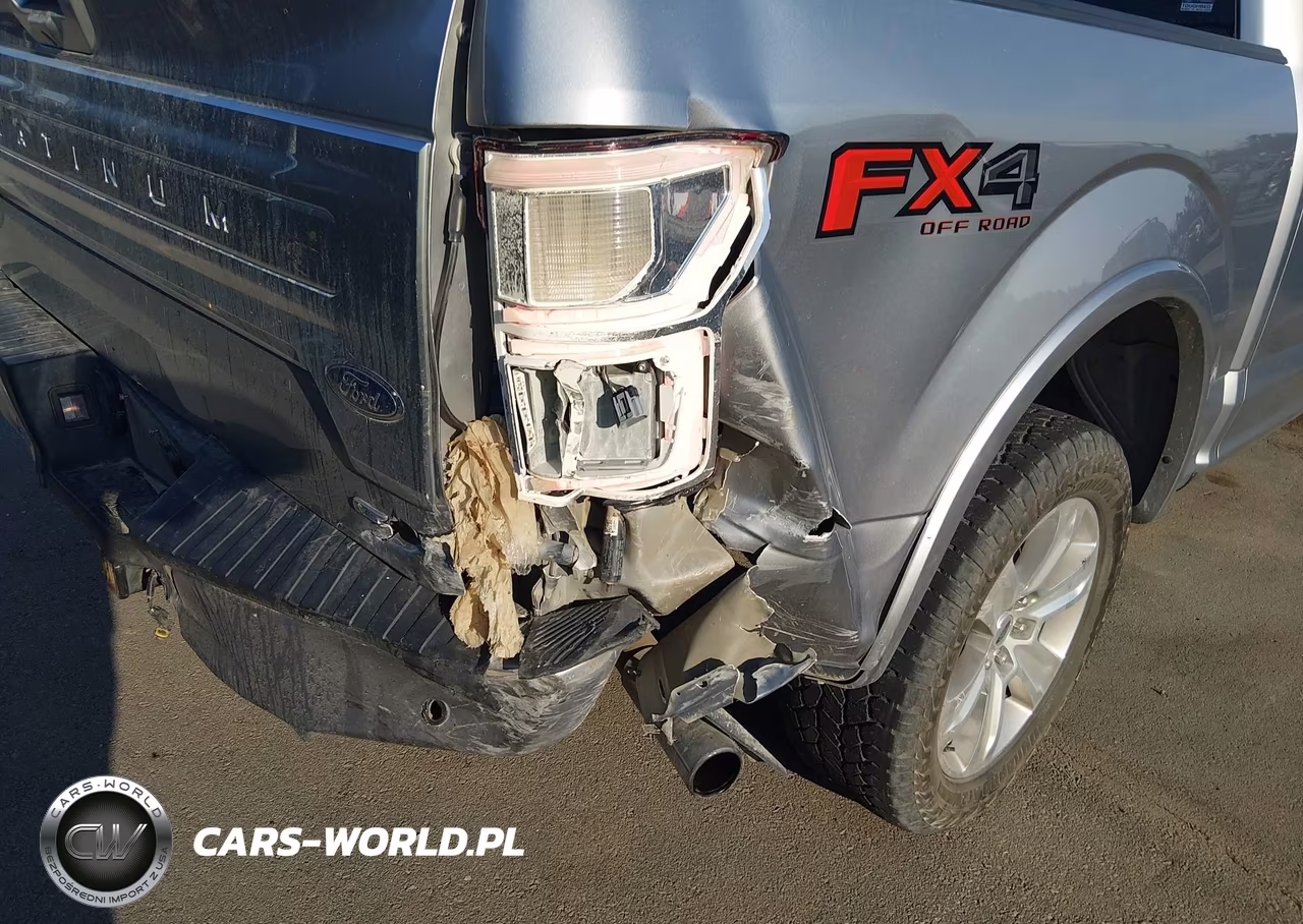 2020 Ford F-150 Platinum VIN:1FTEW1E4XLFB97671 - 6