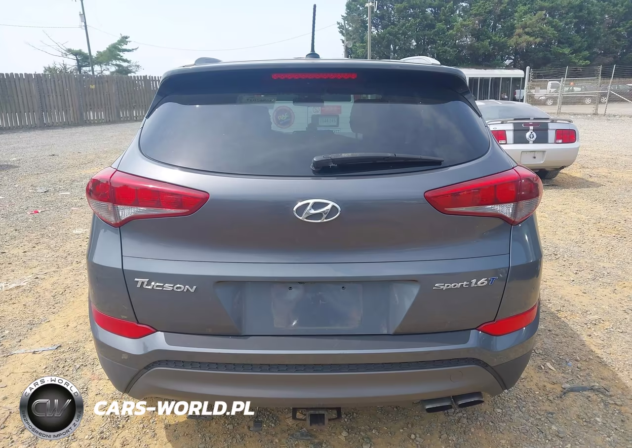 2016 Hyundai Tucson Sport VIN:KM8J33A26GU120431 - 16