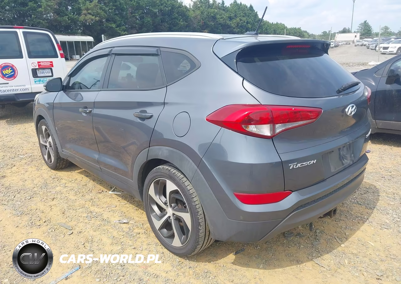 2016 Hyundai Tucson Sport VIN:KM8J33A26GU120431 - 3