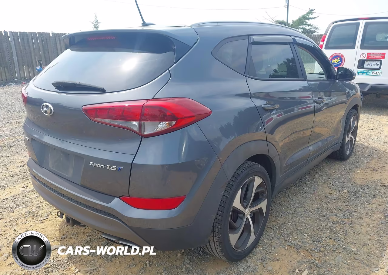 2016 Hyundai Tucson Sport VIN:KM8J33A26GU120431 - 4