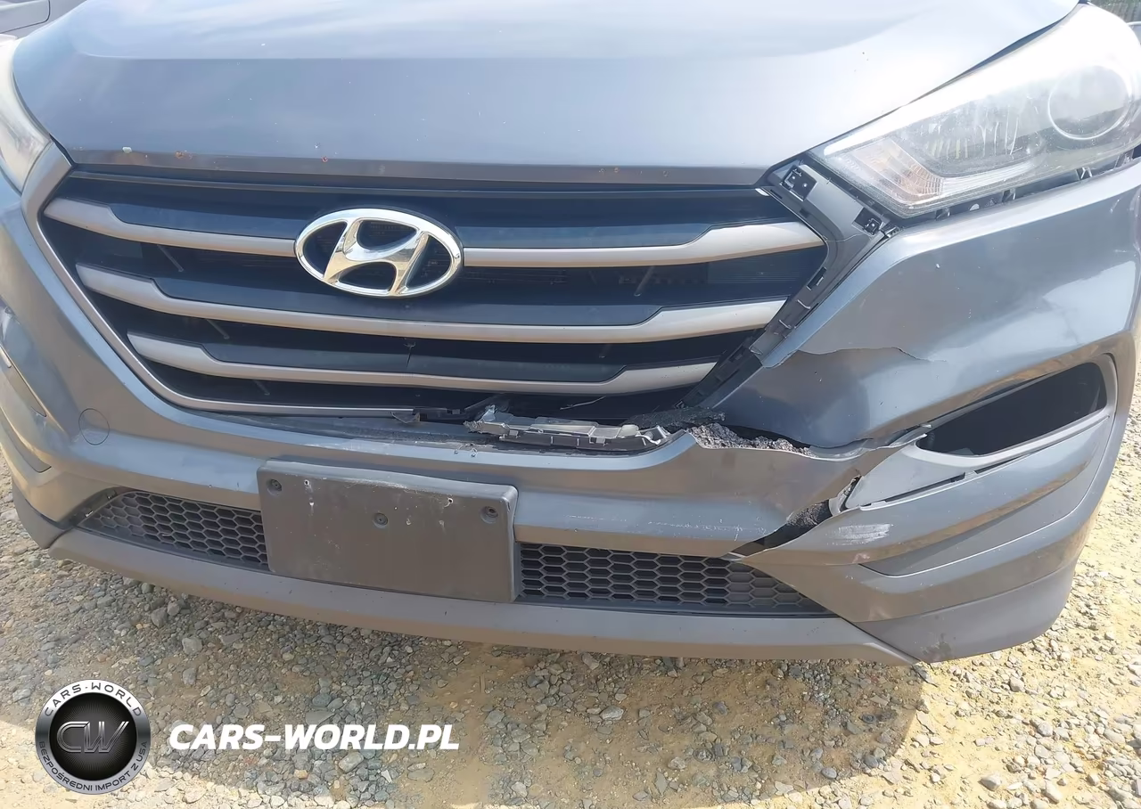 2016 Hyundai Tucson Sport VIN:KM8J33A26GU120431 - 6