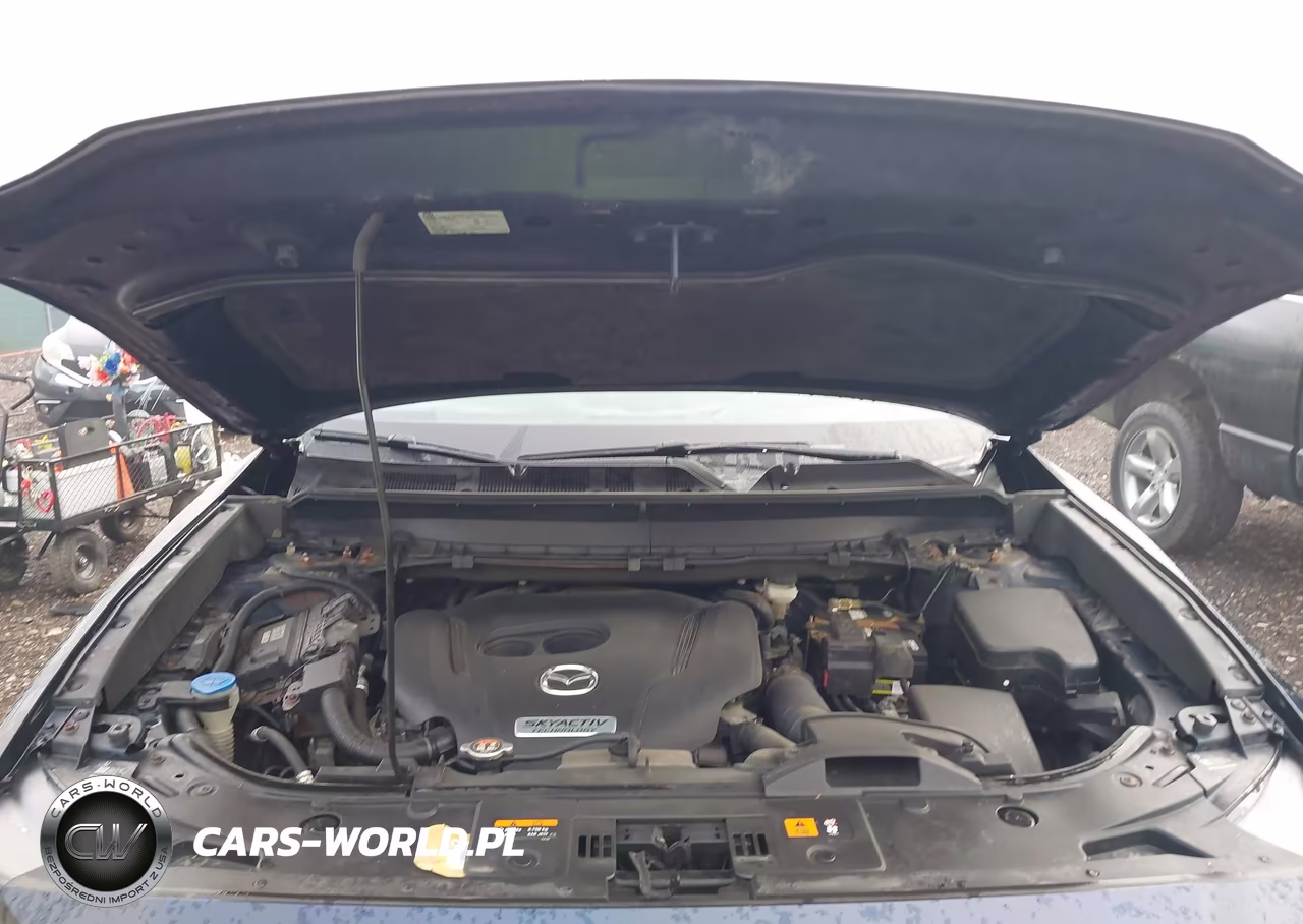 2017 Mazda Cx-9 Grand Touring VIN:JM3TCBDY8H0142874 - 10