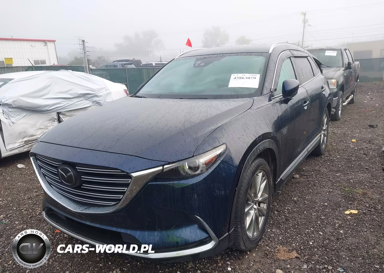 2017 Mazda Cx-9 Grand Touring VIN:JM3TCBDY8H0142874 - 12