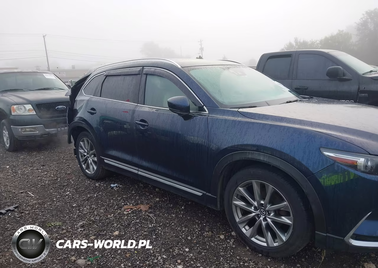 2017 Mazda Cx-9 Grand Touring VIN:JM3TCBDY8H0142874 - 13