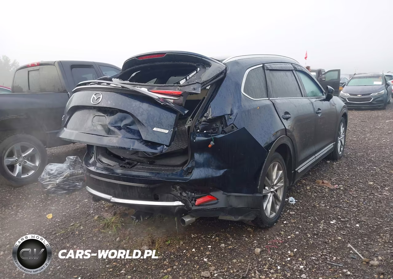 2017 Mazda Cx-9 Grand Touring VIN:JM3TCBDY8H0142874 - 16