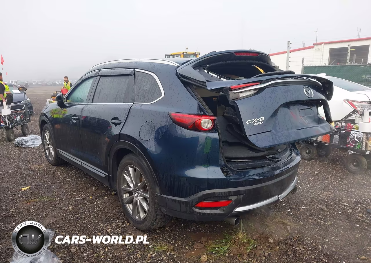 2017 Mazda Cx-9 Grand Touring VIN:JM3TCBDY8H0142874 - 3