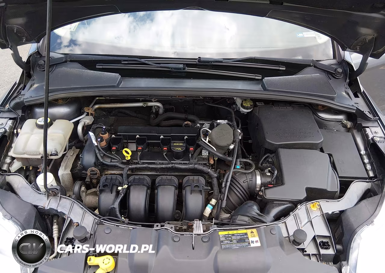 2013 Ford Focus Se VIN:1FADP3K28DL323218 - 10