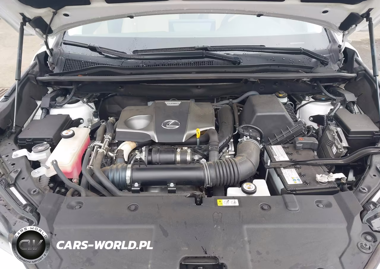 2020 Lexus Nx 300 VIN:JTJGARBZ9L2176336 - 10