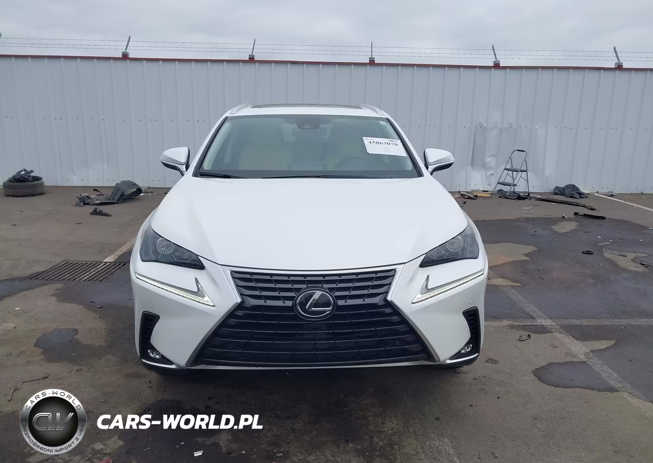 2020 Lexus Nx 300 VIN:JTJGARBZ9L2176336 - 12