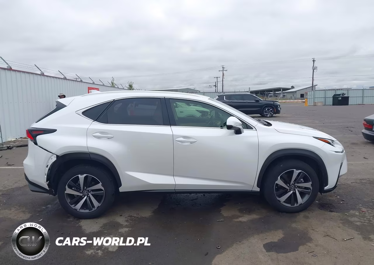 2020 Lexus Nx 300 VIN:JTJGARBZ9L2176336 - 13