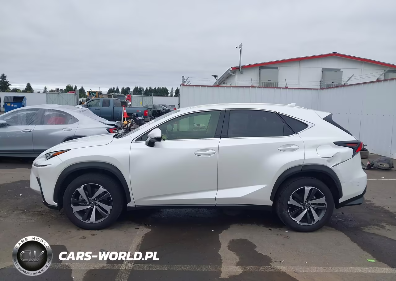 2020 Lexus Nx 300 VIN:JTJGARBZ9L2176336 - 14
