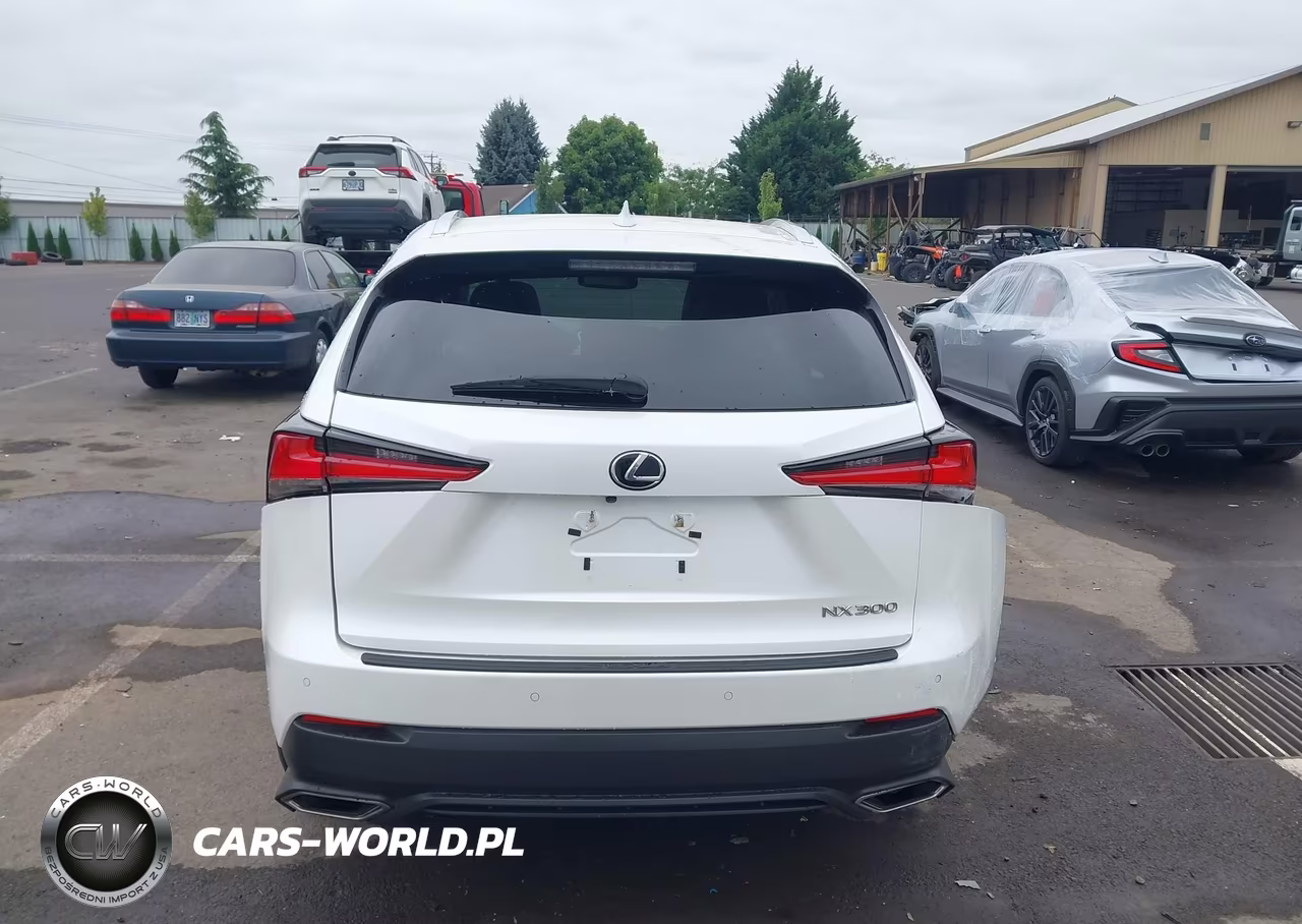 2020 Lexus Nx 300 VIN:JTJGARBZ9L2176336 - 16