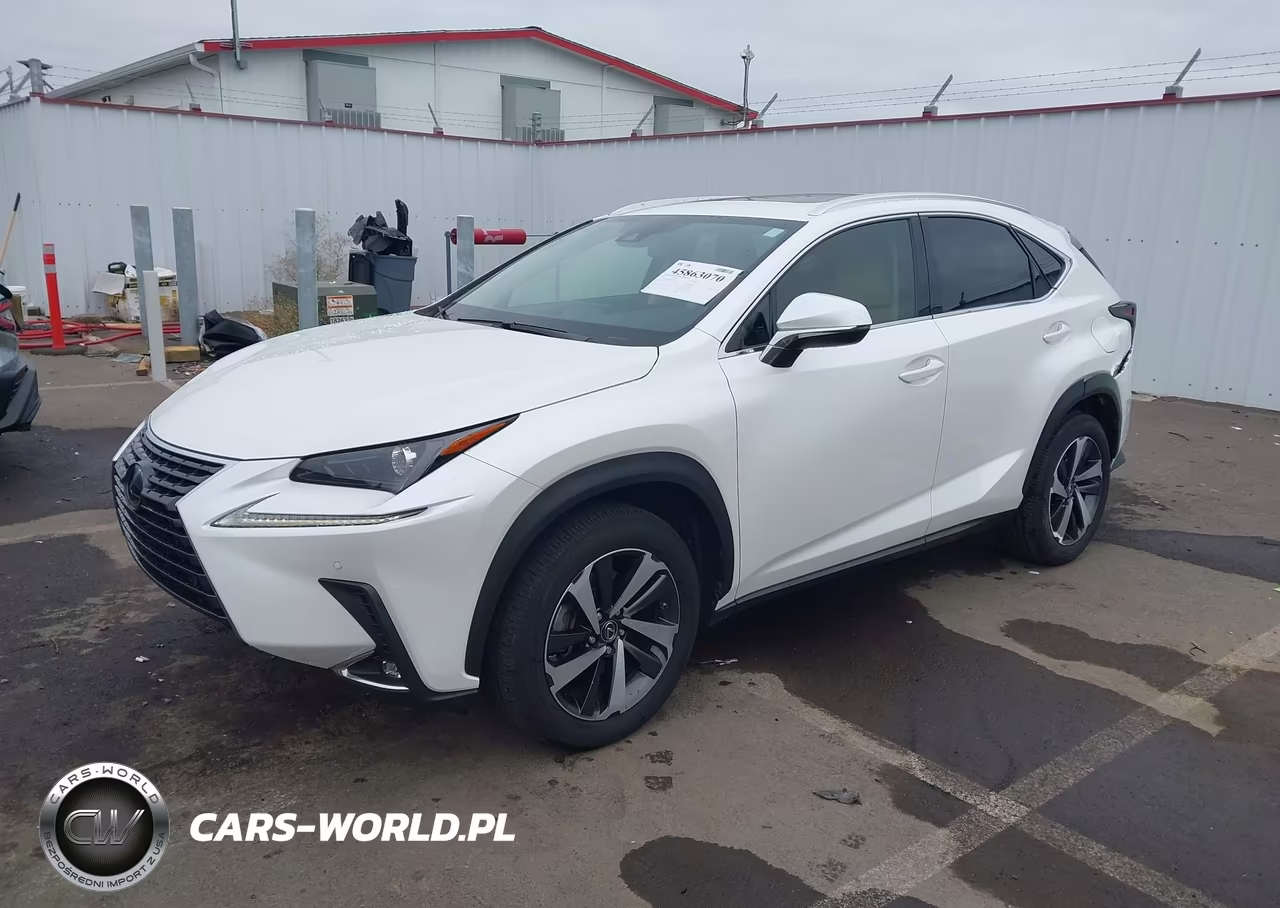 2020 Lexus Nx 300 VIN:JTJGARBZ9L2176336 - 2