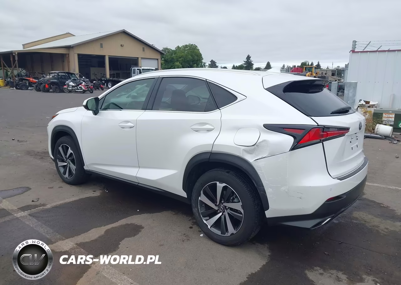 2020 Lexus Nx 300 VIN:JTJGARBZ9L2176336 - 3