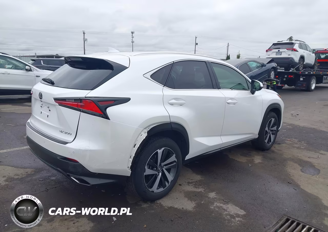 2020 Lexus Nx 300 VIN:JTJGARBZ9L2176336 - 4