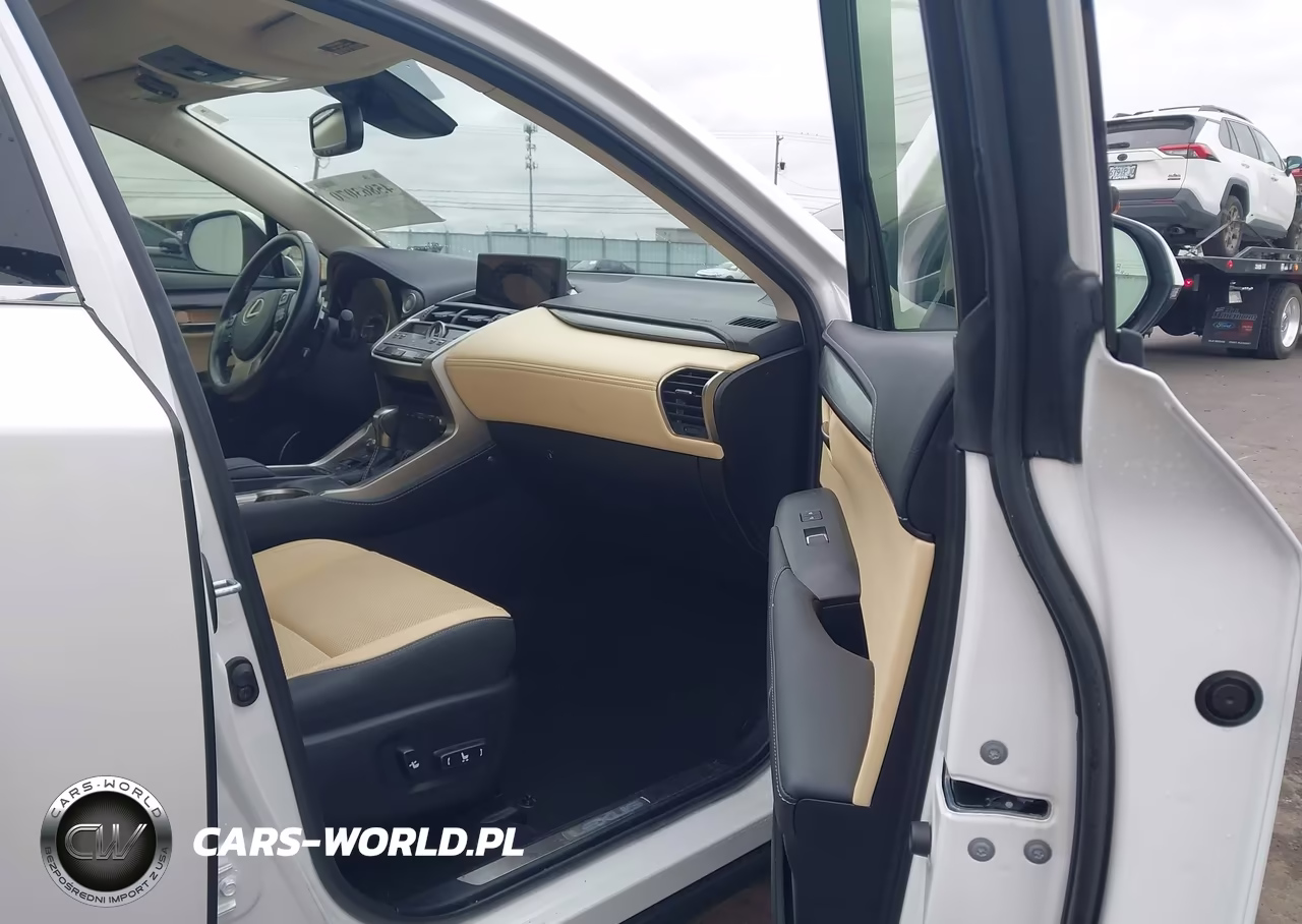 2020 Lexus Nx 300 VIN:JTJGARBZ9L2176336 - 5