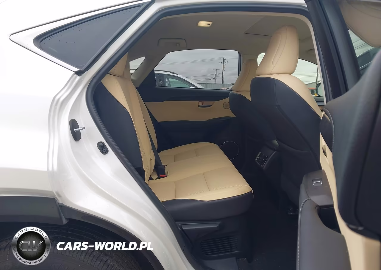 2020 Lexus Nx 300 VIN:JTJGARBZ9L2176336 - 8