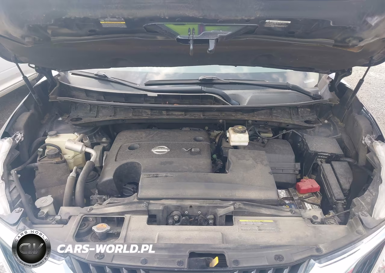 2015 Nissan Murano Sl VIN:5N1AZ2MH9FN216698 - 10