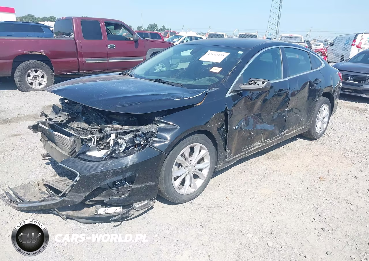 2019 Chevrolet Malibu Lt VIN:1G1ZD5ST8KF111551 - 2