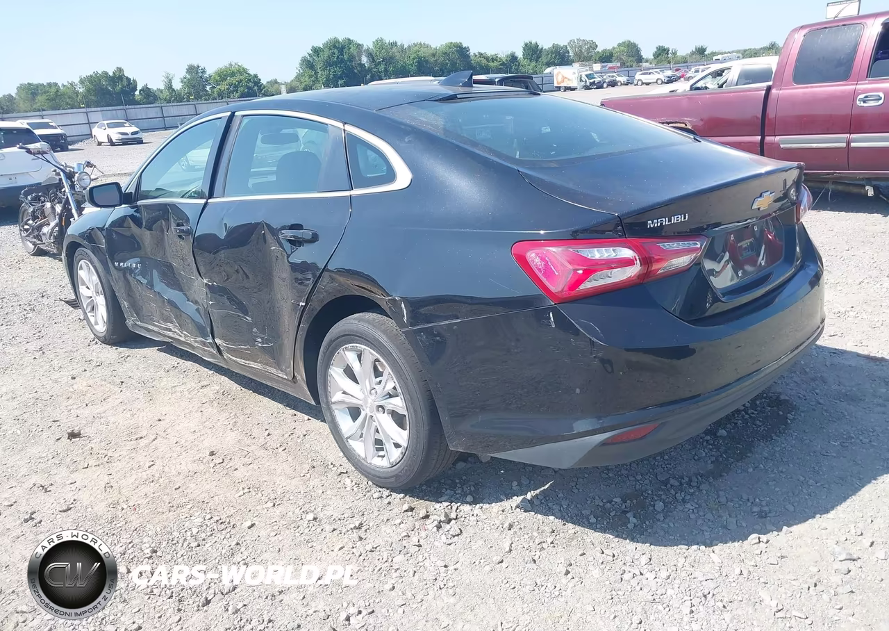 2019 Chevrolet Malibu Lt VIN:1G1ZD5ST8KF111551 - 3