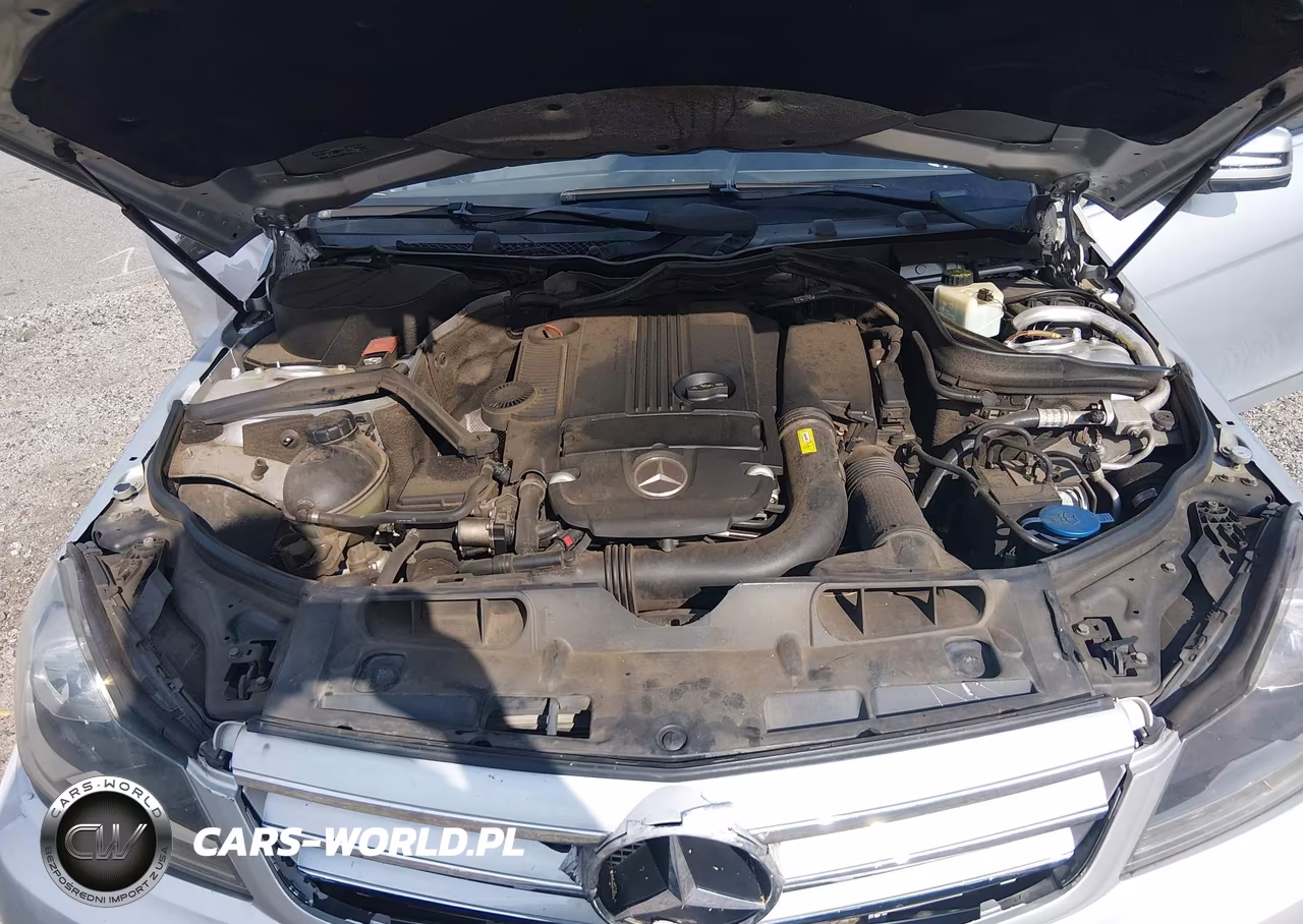 2012 Mercedes-Benz C 250 Luxury-Sport VIN:WDDGF4HB8CR195426 - 10