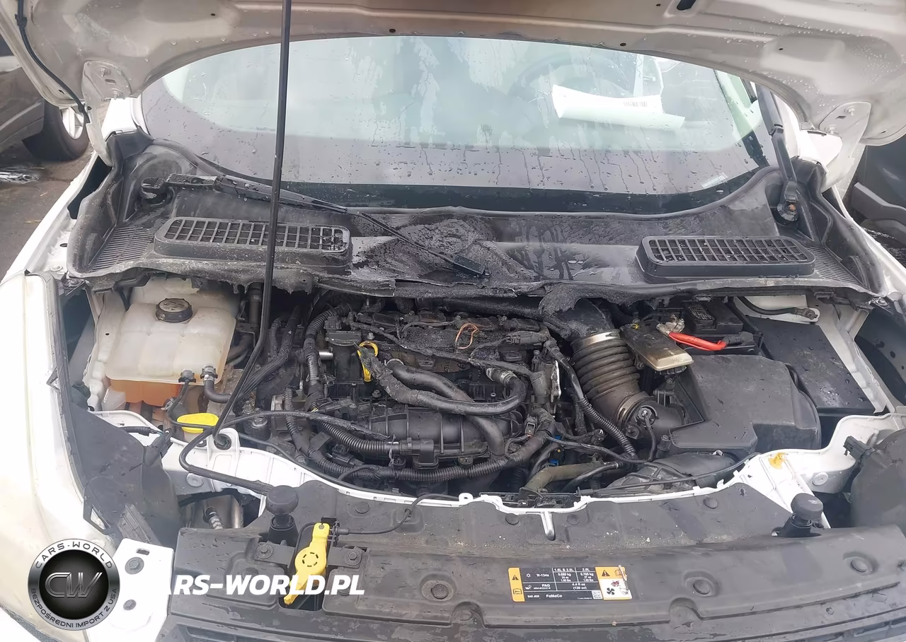 2014 Ford Escape Se VIN:1FMCU0GX6EUE51059 - 10
