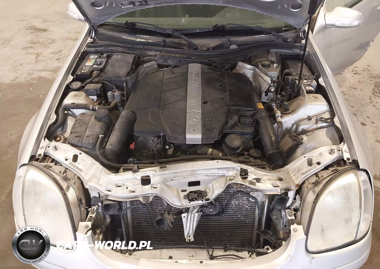 2001 Mercedes-Benz Slk 320 VIN:WDBKK65F31F220801 - 10