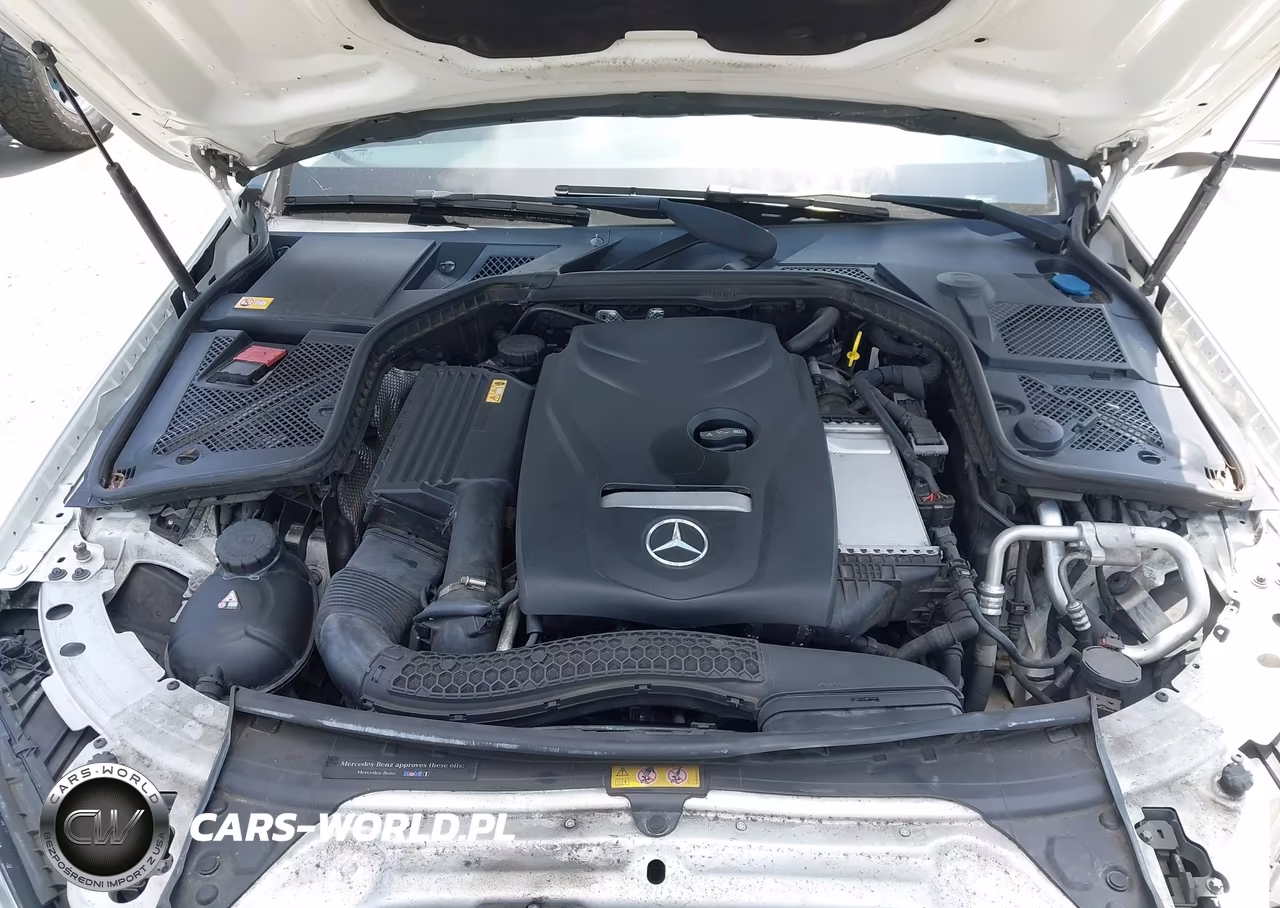 2015 Mercedes-Benz C 300 VIN:55SWF4JB0FU066377 - 10