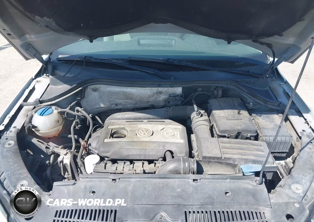 2013 Volkswagen Tiguan Se VIN:WVGAV7AX8DW536316 - 10