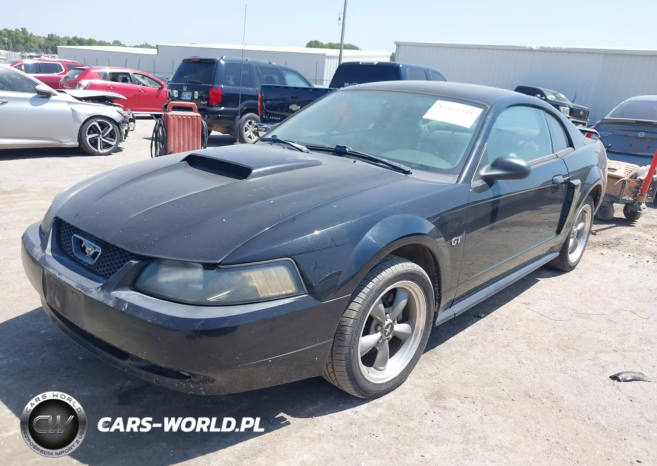 2001 Ford Mustang Gt VIN:1FAFP42X71F110135 - 2