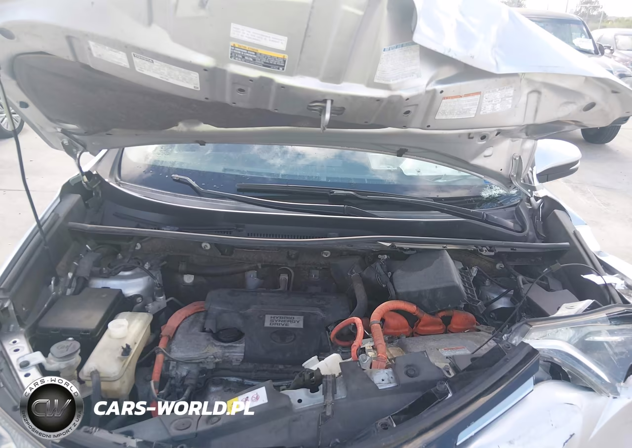 2016 Toyota Rav4 Hybrid Xle VIN:JTMRJREV4GD054983 - 10