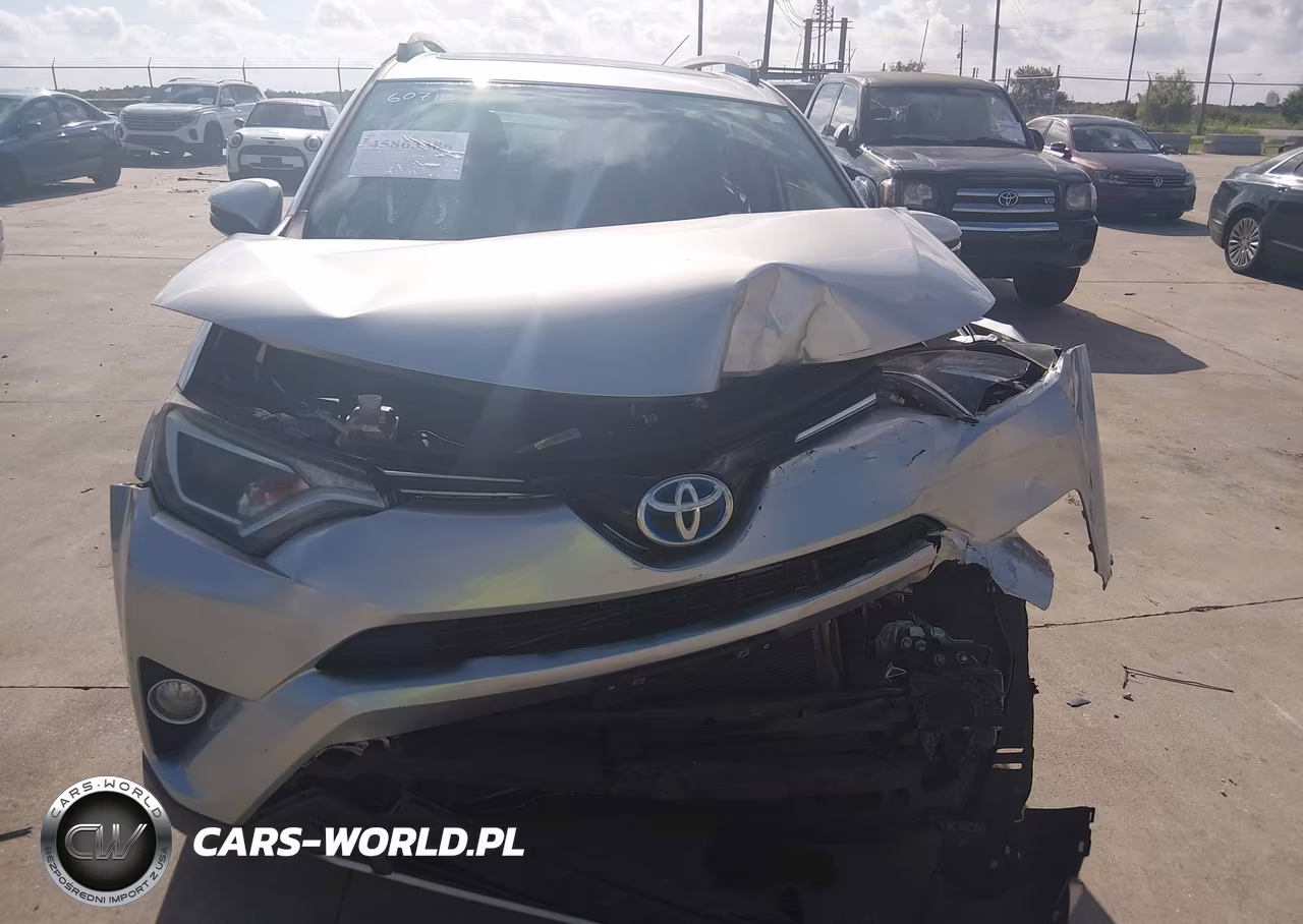 2016 Toyota Rav4 Hybrid Xle VIN:JTMRJREV4GD054983 - 12