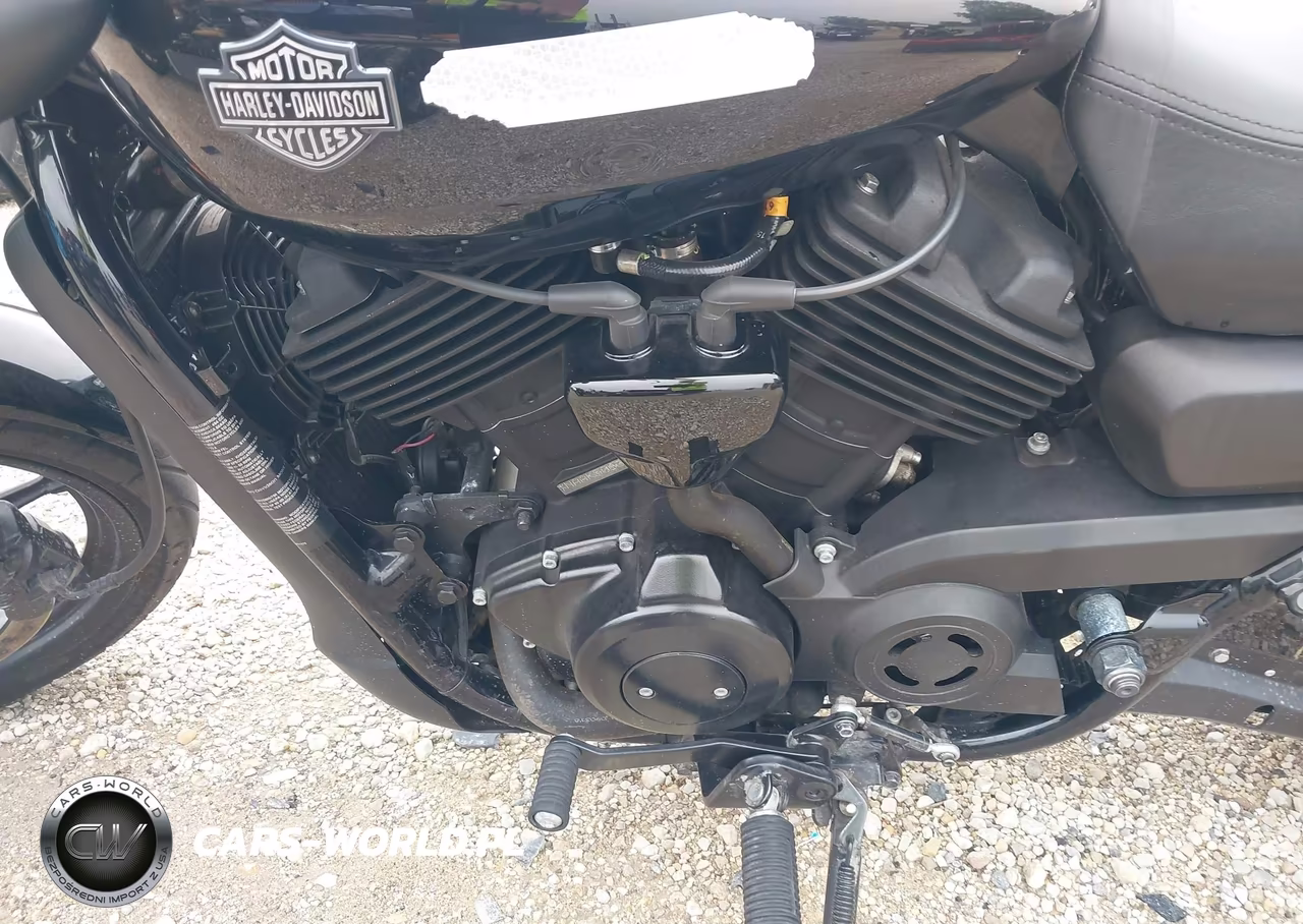 2019 Harley-Davidson Xg500 VIN:1HD4NAA1XKC506306 - 9