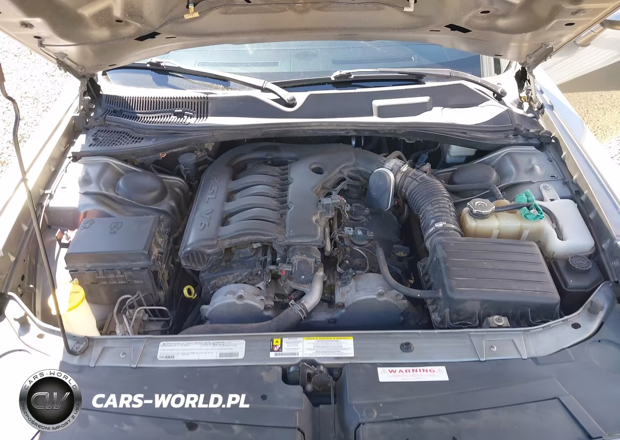 2010 Dodge Challenger Se VIN:2B3CJ4DV0AH318478 - 10