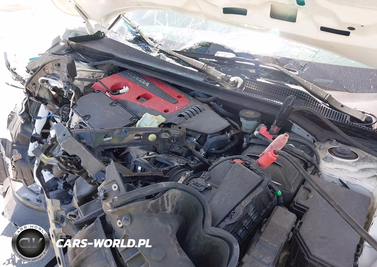 2023 Honda Civic Type R Touring VIN:JHMFL5G42PX003389 - 10