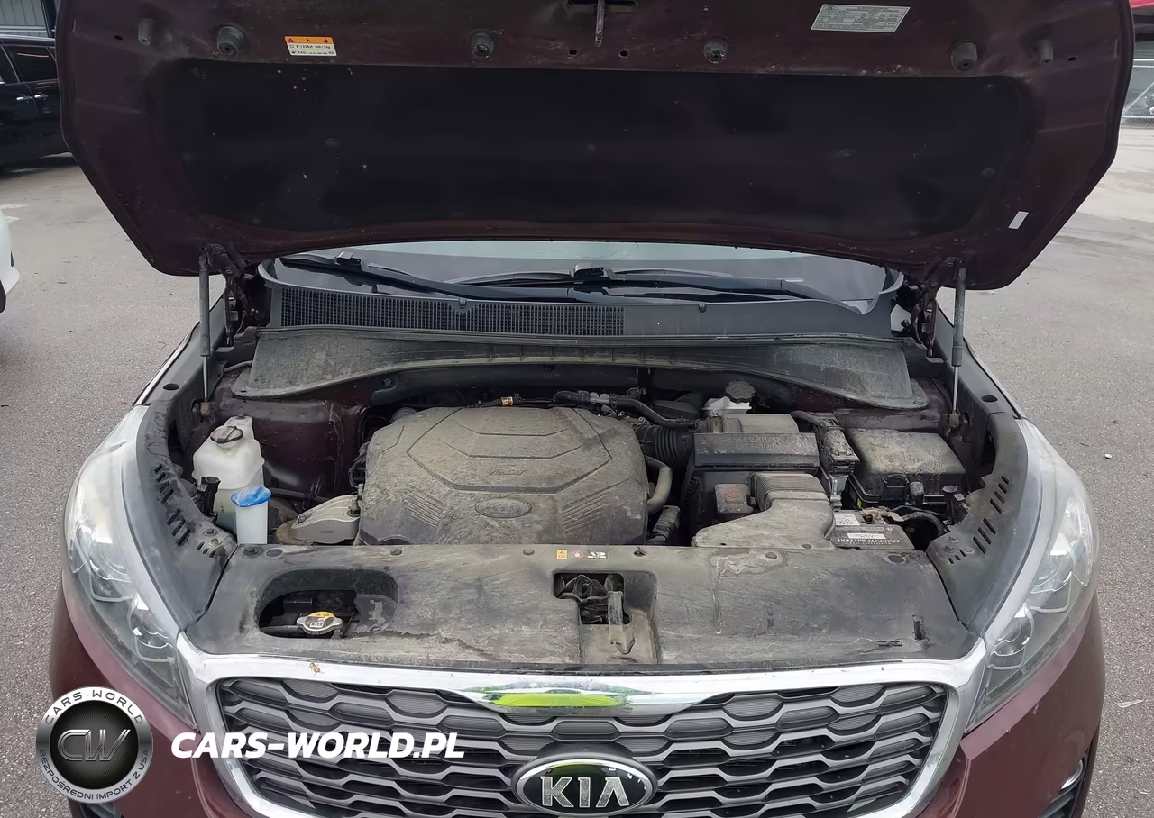 2019 Kia Sorento 3.3L Ex VIN:5XYPHDA54KG535841 - 10