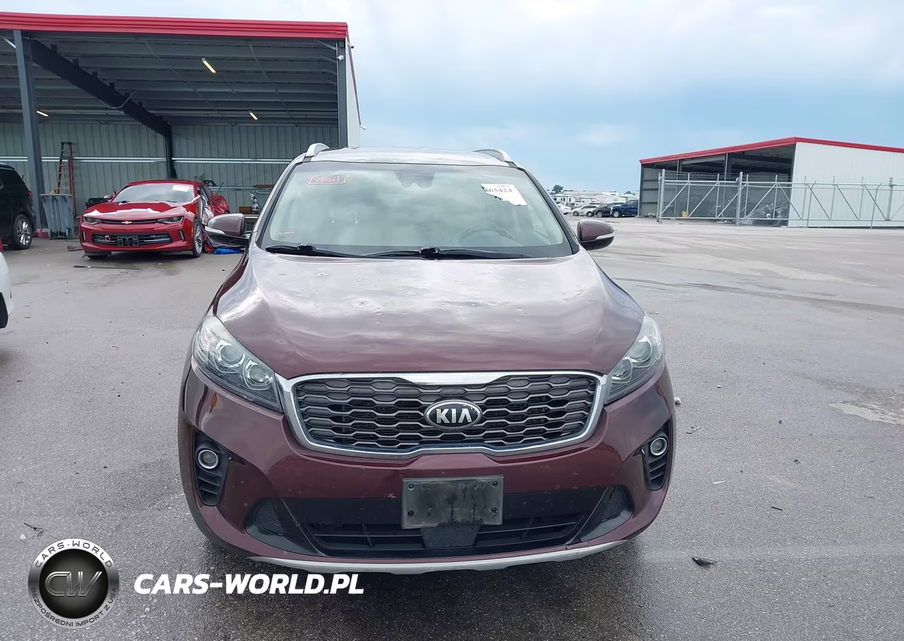 2019 Kia Sorento 3.3L Ex VIN:5XYPHDA54KG535841 - 12