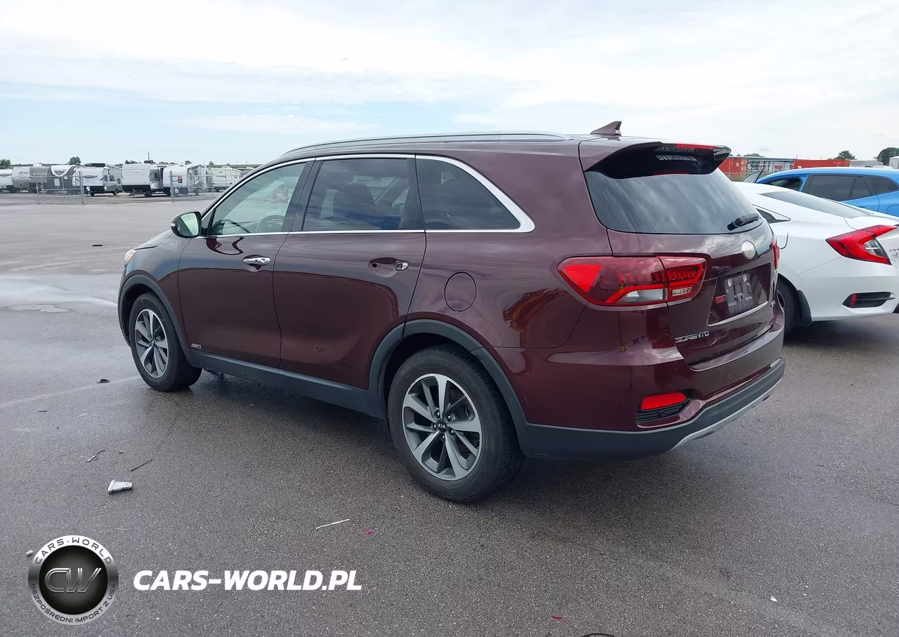 2019 Kia Sorento 3.3L Ex VIN:5XYPHDA54KG535841 - 3