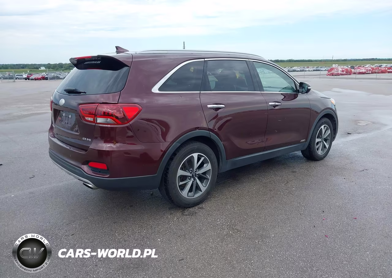 2019 Kia Sorento 3.3L Ex VIN:5XYPHDA54KG535841 - 4