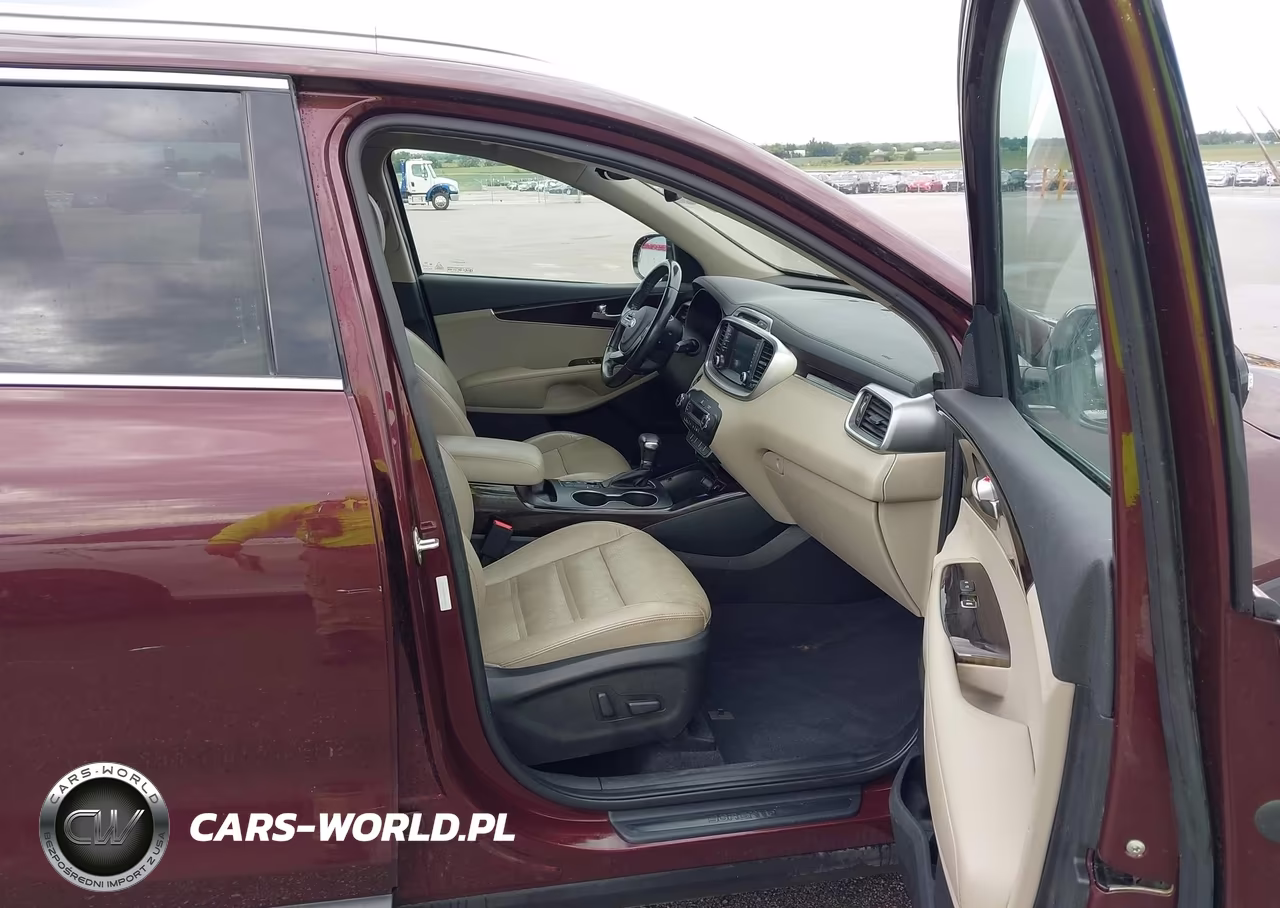 2019 Kia Sorento 3.3L Ex VIN:5XYPHDA54KG535841 - 5
